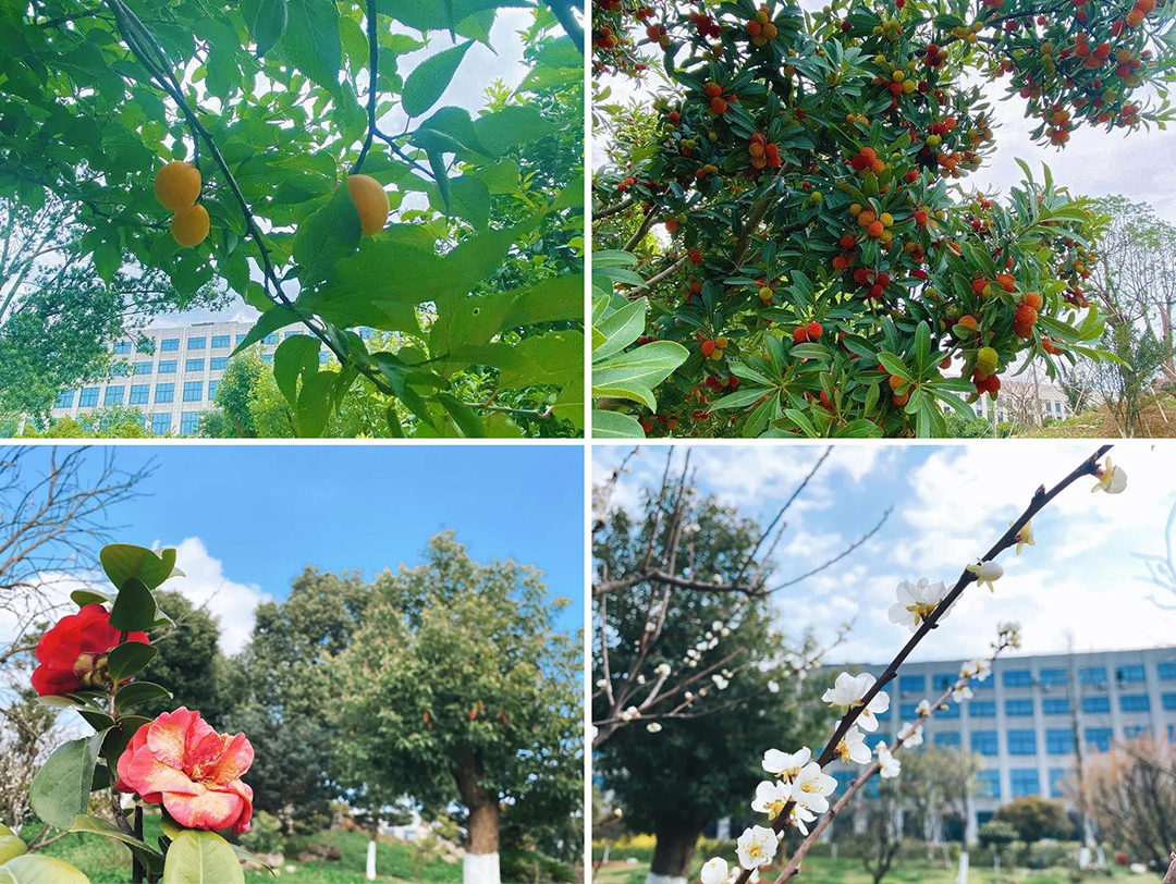 植樹節(jié)|守護(hù)綠色家園的秘密武器！