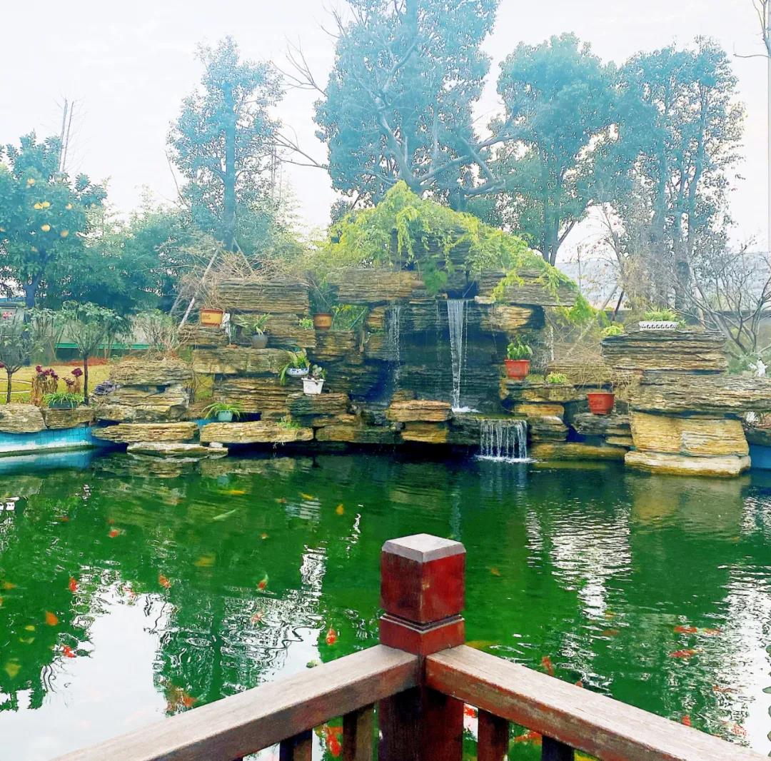 風(fēng)景這邊獨(dú)好!東大環(huán)境美景一覽,請(qǐng)查收