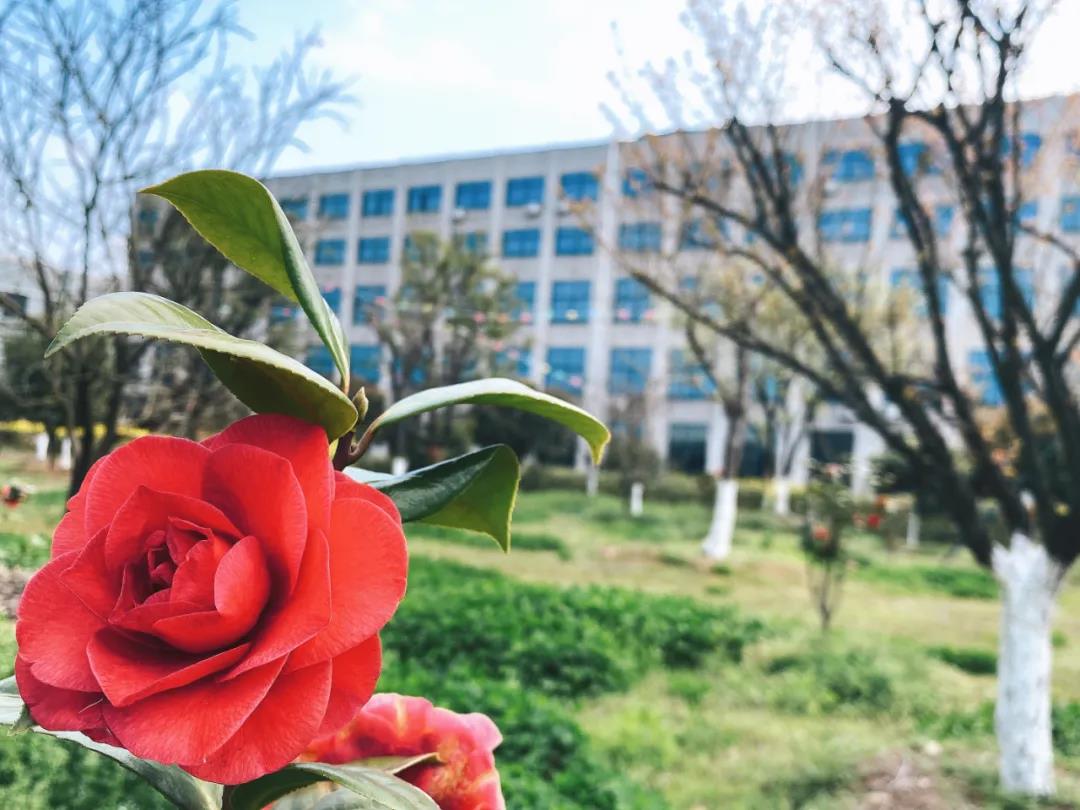 風(fēng)景這邊獨(dú)好!東大環(huán)境美景一覽,請(qǐng)查收